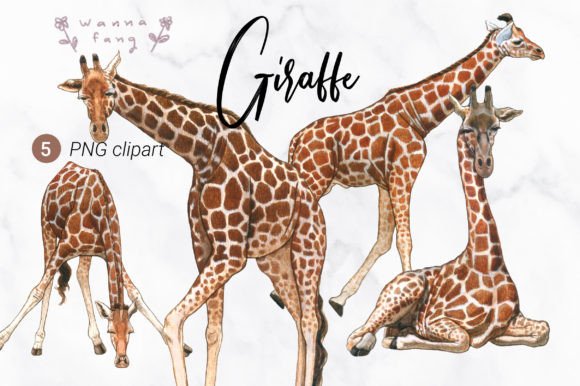 Giraffe Watercolor Animal Clipart: A Designer's Delightful Asset