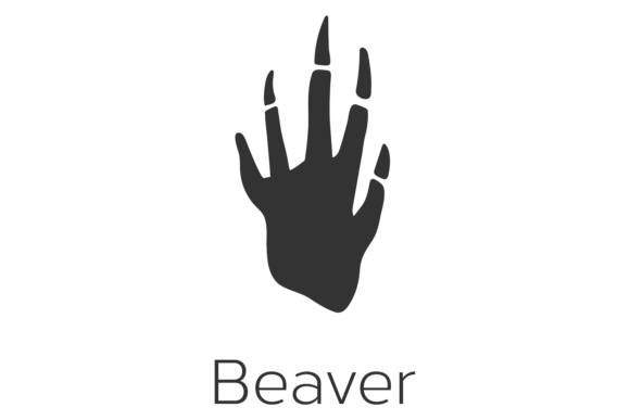 Understanding the Beaver Footprint: A Wild Animal Black Foot Guide