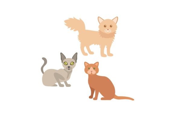 Understanding the Cat Icon Animal Design Asset