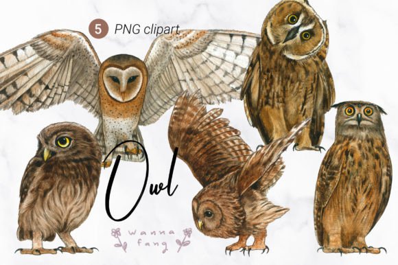 Unlocking the Magic of Owl Watercolor Animal Clipart