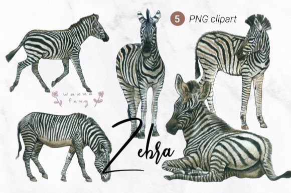Zebra Watercolor Animal Clipart: A Fresh Take on Nature-Inspired Design